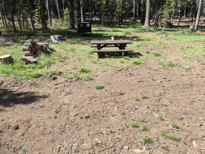 Little Beaver Site #9 Photo 4Alternate view of site #9 with bear box, picnic table, and grill in view