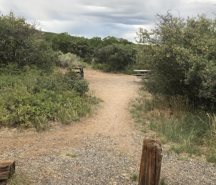 View of walkway leading into Campsite A-022