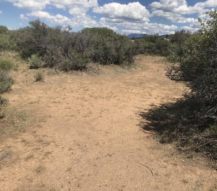 View of potential tent location within Campsite A-017