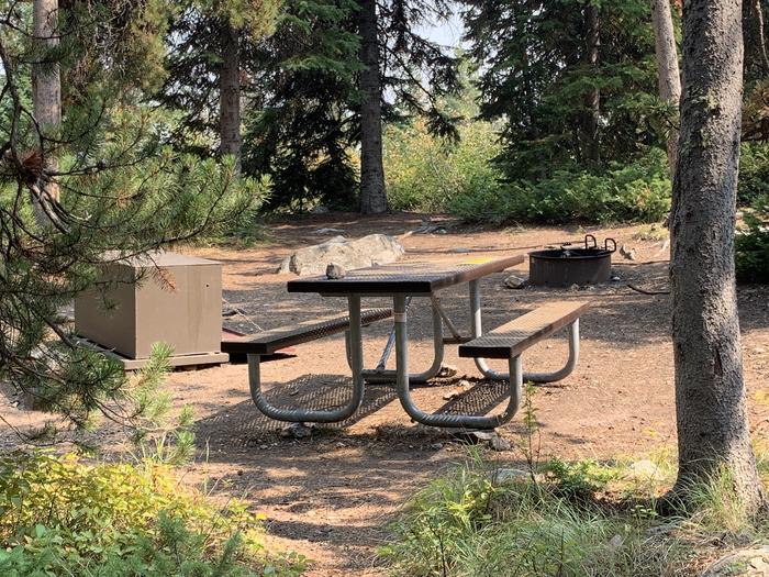 A photo of Site 27 of Loop Jenny Lake at Jenny Lake Campground with Picnic Table, Fire Pit, Food Storage, Tent Pad