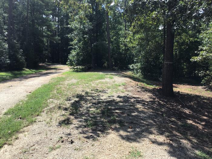 This photo looks backwards at the parallel parking spot for site 7. The table and site is off to the right of the parking pad.A photo of Site 07 of Loop Woods Ferry at Woods Ferry Campground (SC) with Picnic Table, Fire Pit, Lantern Pole
