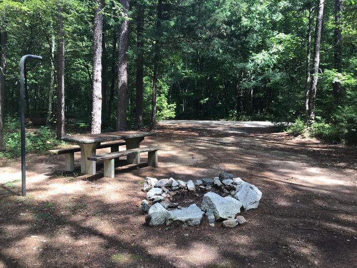 A photo of Site 11 of Loop Woods Ferry at Woods Ferry Campground (SC) with Picnic Table, Fire Pit, Lantern Pole