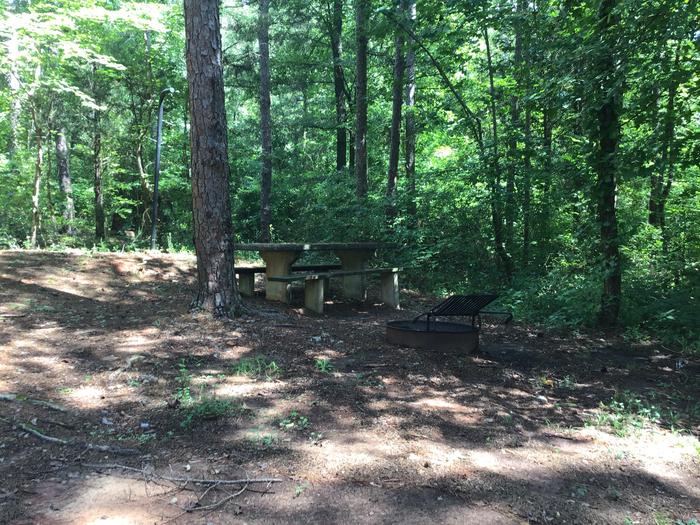 A photo of Site 06 of Loop Woods Ferry at Woods Ferry Campground (SC) with Picnic Table, Fire Pit, Lantern Pole