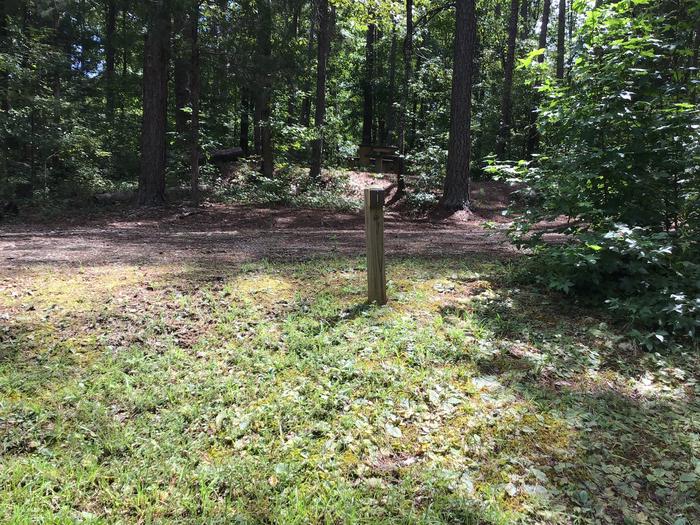 A photo of Site 01 of Loop Woods Ferry at Woods Ferry Campground (SC) with Picnic Table, Fire Pit