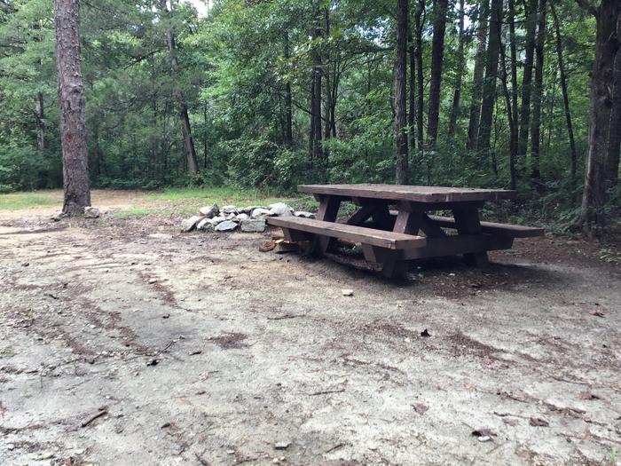 A photo of Site 02 of Loop Woods Ferry at Woods Ferry Campground (SC) with Picnic Table, Fire Pit, Lantern Pole