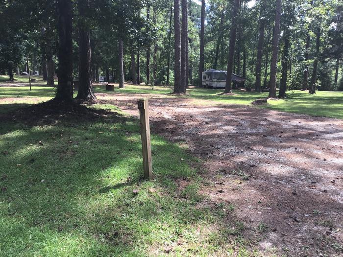 A photo of Site 12 of Loop Brickhouse at Brick House Campground (SC) with Picnic Table, Fire Pit, Shade, Lantern Pole