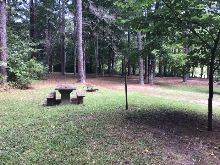 A photo of Site 03 of Loop Brickhouse at Brick House Campground (SC) with Picnic Table, Fire Pit, Shade, Lantern Pole