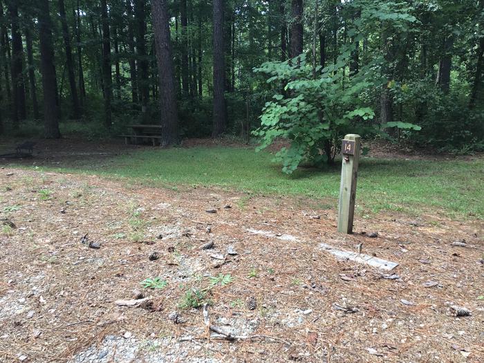 A photo of Site 14 of Loop Brickhouse at Brick House Campground (SC) with Picnic Table, Fire Pit, Shade, Lantern Pole
