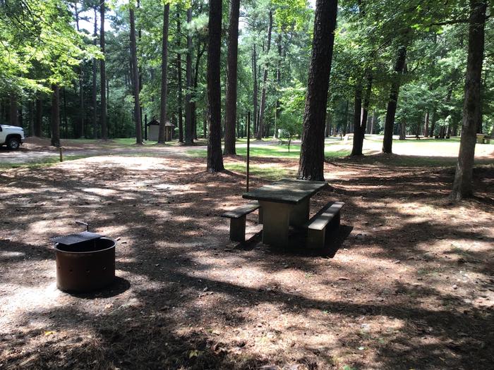 A photo of Site 02 of Loop Brickhouse at Brick House Campground (SC) with Picnic Table, Fire Pit, Shade, Lantern Pole