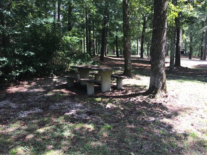 A photo of Site 06 of Loop Brickhouse at Brick House Campground (SC) with Picnic Table, Shade, Lantern Pole