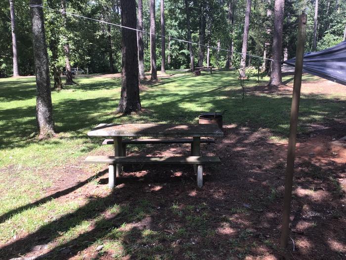 A photo of Site 17 of Loop Brickhouse at Brick House Campground (SC) with Picnic Table, Fire Pit, Shade, Lantern Pole