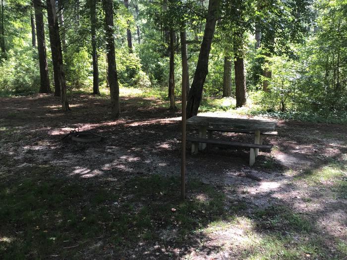 A photo of Site 18 of Loop Brickhouse at Brick House Campground (SC) with Picnic Table, Fire Pit, Shade, Lantern Pole