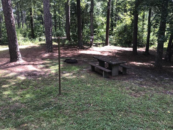 A photo of Site 20 of Loop Brickhouse at Brick House Campground (SC) with Picnic Table, Fire Pit, Shade, Lantern Pole