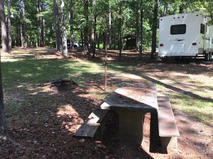 A photo of Site 19 of Loop Brickhouse at Brick House Campground (SC) with Picnic Table, Fire Pit, Shade, Lantern Pole