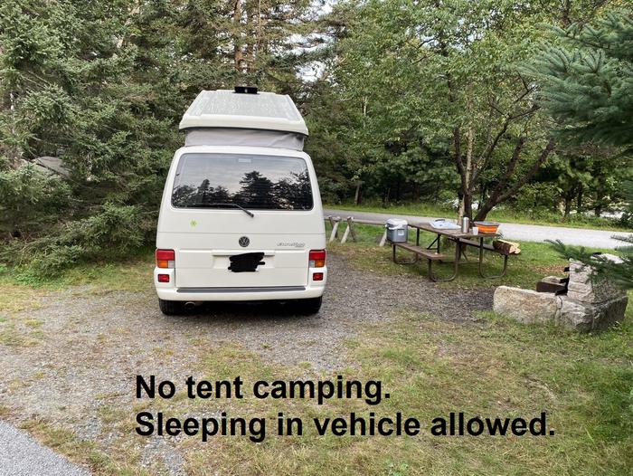 Site C35 with campervanPhoto of C35 showing picnic bench and fire pit. Note- no tent camping, sleeping in vehicle allowed.