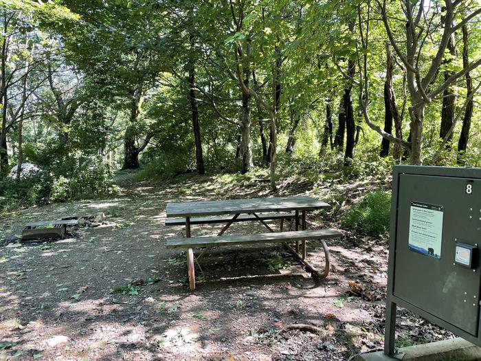 A photo of Site 008 of Loop Upper Loop at Loft Mountain Campground with Picnic Table, Fire Pit, Food Storage