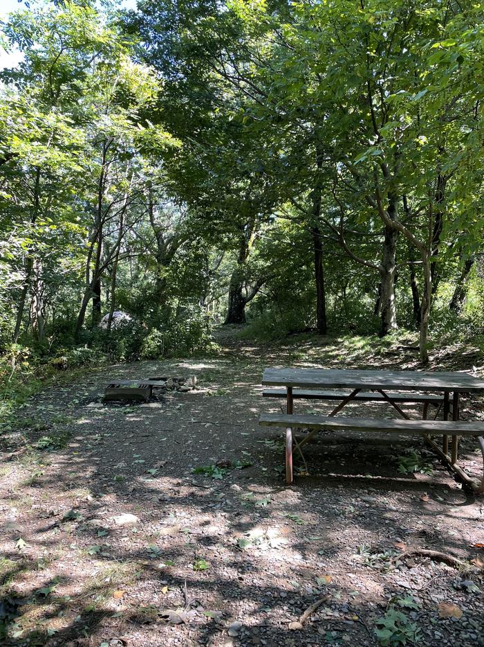 A photo of Site 008 of Loop Upper Loop at Loft Mountain Campground with Picnic Table, Fire Pit