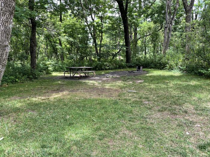 A photo of Site B086 of Loop B Loop at Loft Mountain Campground with Picnic Table, Fire Pit