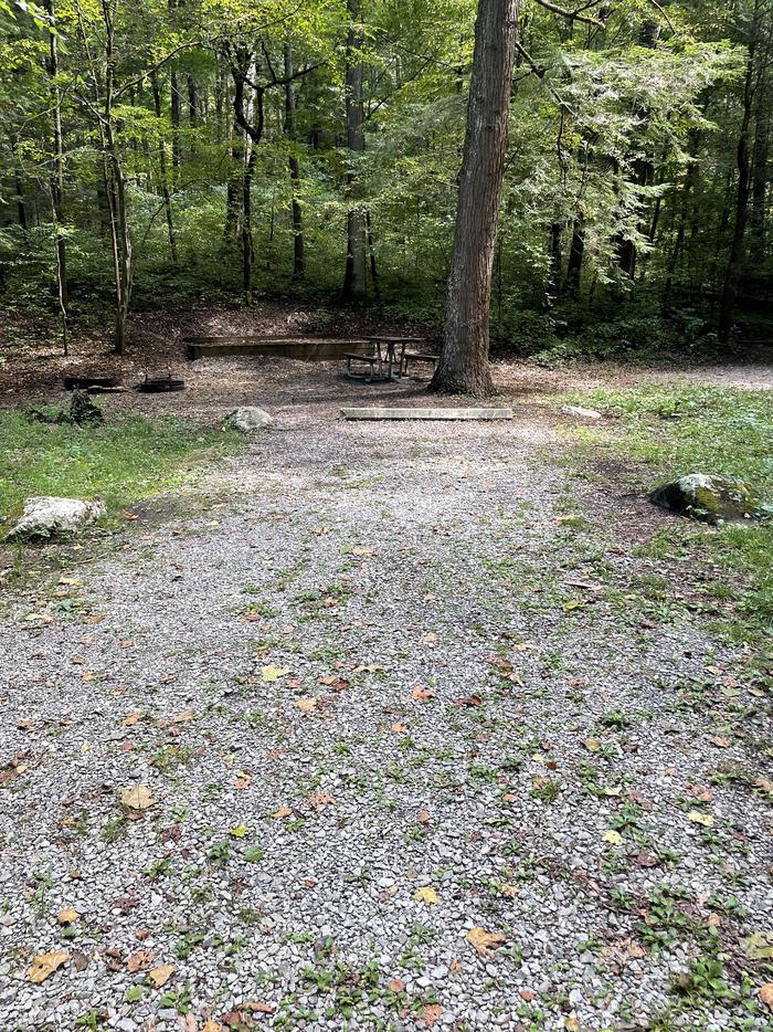 A photo of Site A15 of Loop A at ABRAM'S CREEK CAMPGROUND with Picnic Table, Fire Pit, Tent Pad