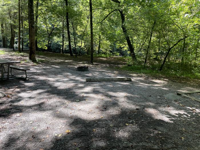 A photo of Site A01 of Loop A at ABRAM'S CREEK CAMPGROUND with Picnic Table, Fire Pit, Shade, Tent Pad, Waterfront