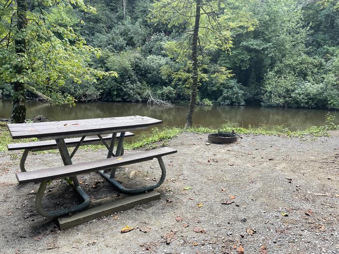 A photo of Site A05 of Loop A at ABRAM'S CREEK CAMPGROUND with Picnic Table, Fire Pit, Waterfront