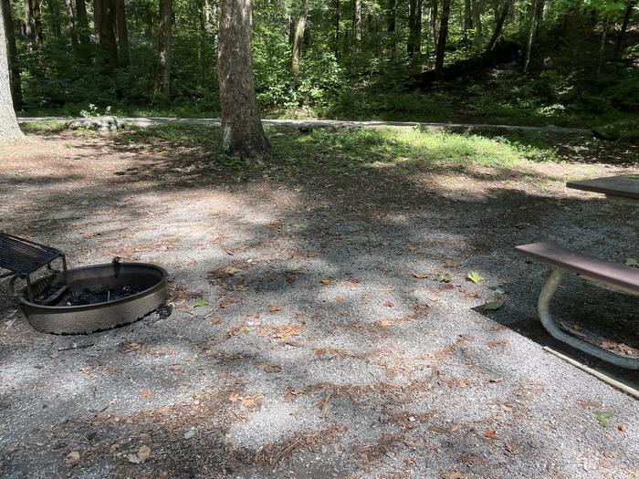 A photo of Site A10 of Loop A at ABRAM'S CREEK CAMPGROUND with Picnic Table, Fire Pit
