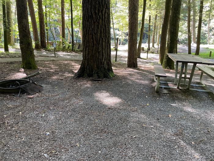 A photo of Site A13 of Loop A at ABRAM'S CREEK CAMPGROUND with Picnic Table, Fire Pit, Tent Pad