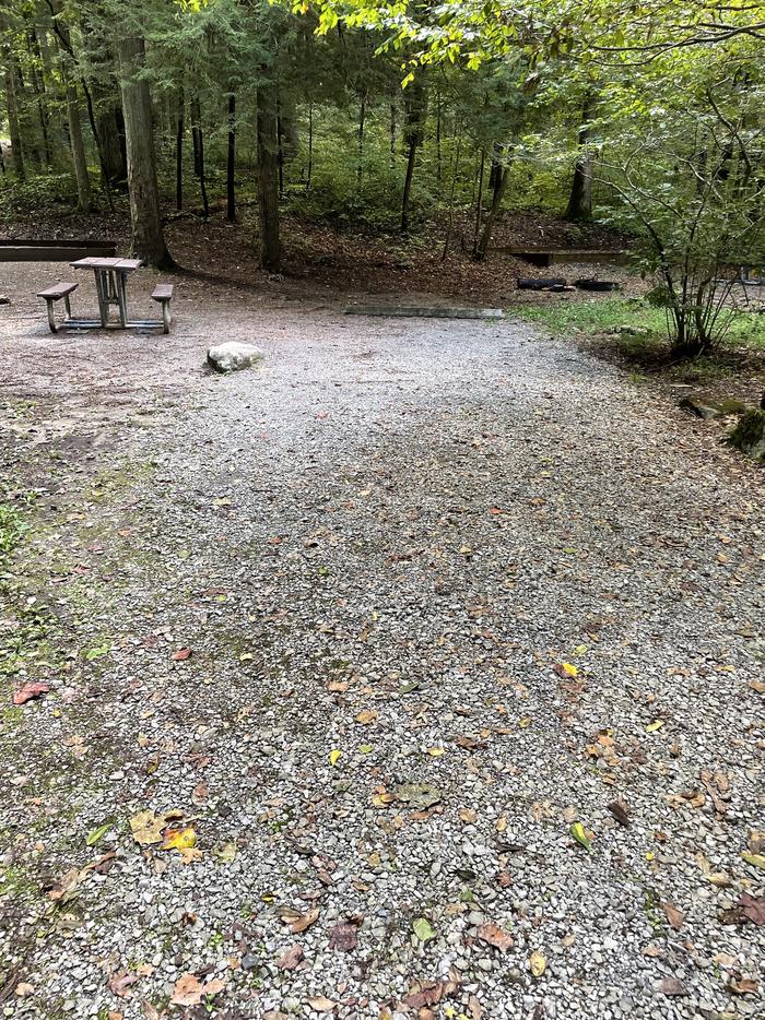 A photo of Site A16 of Loop A at ABRAM'S CREEK CAMPGROUND with Picnic Table, Fire Pit, Tent Pad