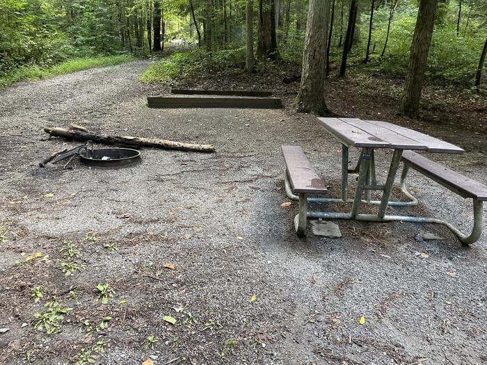 A photo of Site A16 of Loop A at ABRAM'S CREEK CAMPGROUND with Picnic Table, Fire Pit