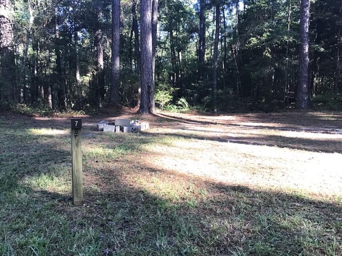 A photo of Site Site 07 of Loop Rocky Branch at Rocky Branch Seasonal Campground (SC) with Fire Pit, Shade