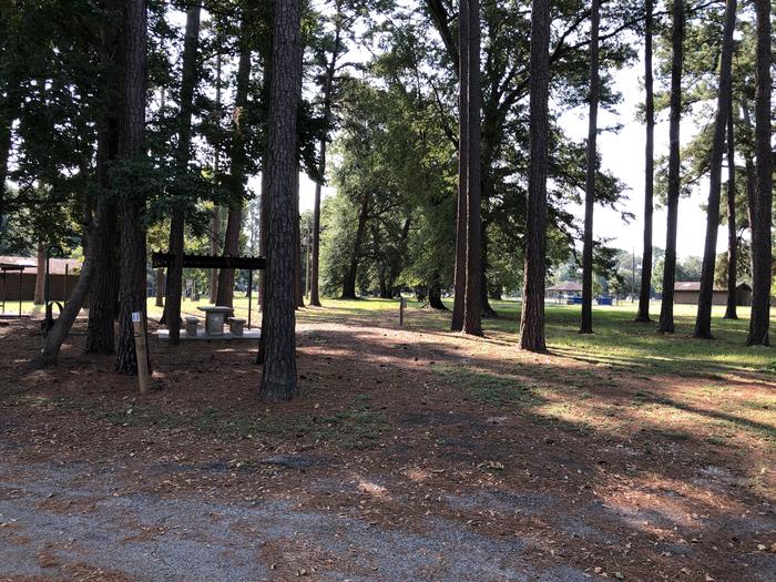 A photo of Site 068 of Loop A at MILL CREEK (TEXAS) with Picnic Table, Electricity Hookup, Fire Pit, Shade, Lantern Pole, Water Hookup