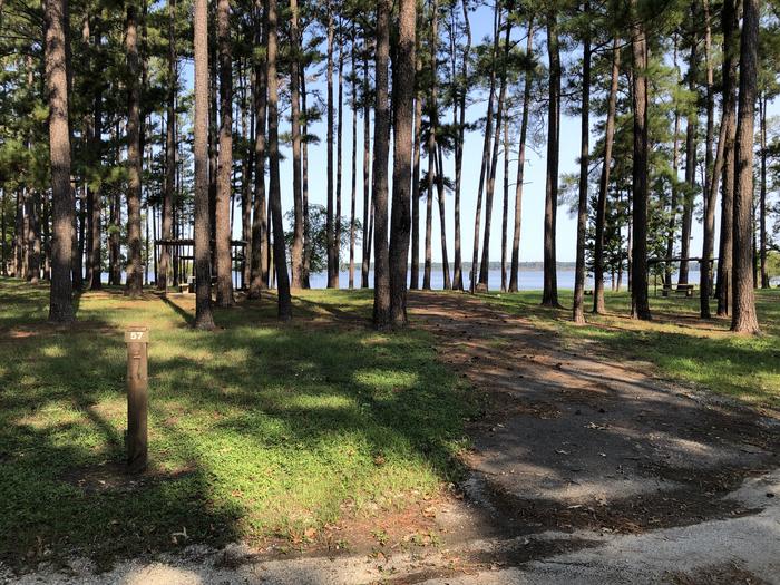 A photo of Site 057 of Loop B at MILL CREEK (TEXAS) with Picnic Table, Electricity Hookup, Fire Pit, Shade, Waterfront, Water Hookup