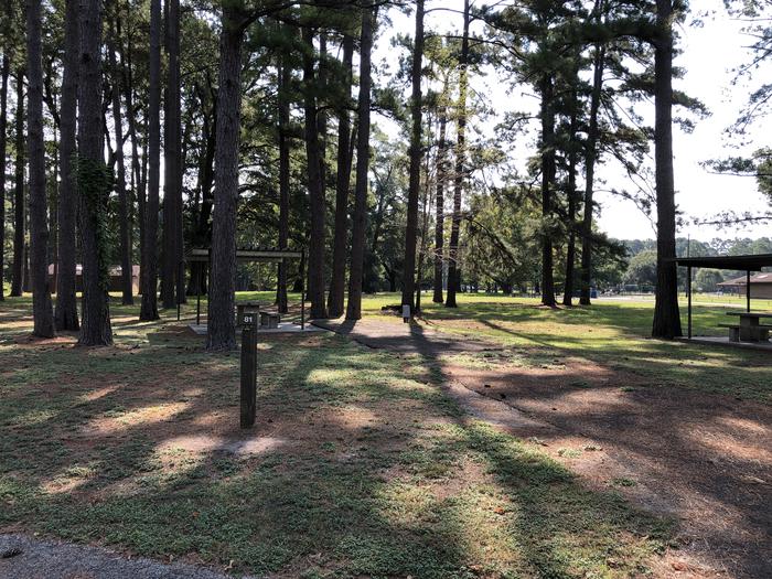 A photo of Site 081 of Loop A at MILL CREEK (TEXAS) with Picnic Table, Electricity Hookup, Fire Pit, Shade, Lantern Pole, Water Hookup