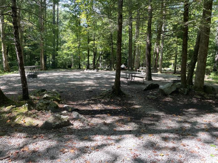 A photo of Site G002 of Loop Group at CADES COVE GROUP with Picnic Table, Fire Pit, Shade