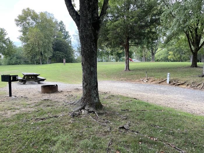 A photo of Site 113 of Loop LAKE at DEFEATED CREEK PARK with Picnic Table, Electricity Hookup, Fire Pit, Shade, Water Hookup