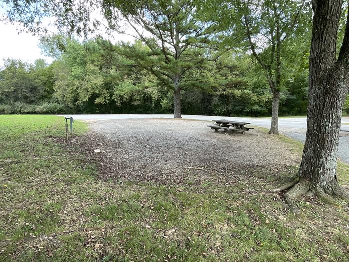 A photo of Site 114 of Loop LAKE at DEFEATED CREEK PARK with Picnic Table, Electricity Hookup, Fire Pit, Shade, Water Hookup