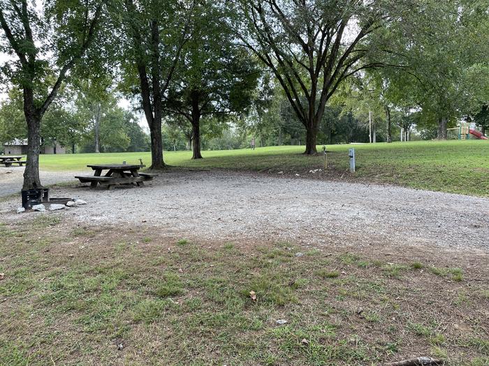 A photo of Site 114 of Loop LAKE at DEFEATED CREEK PARK with Picnic Table, Electricity Hookup, Fire Pit, Shade, Water Hookup