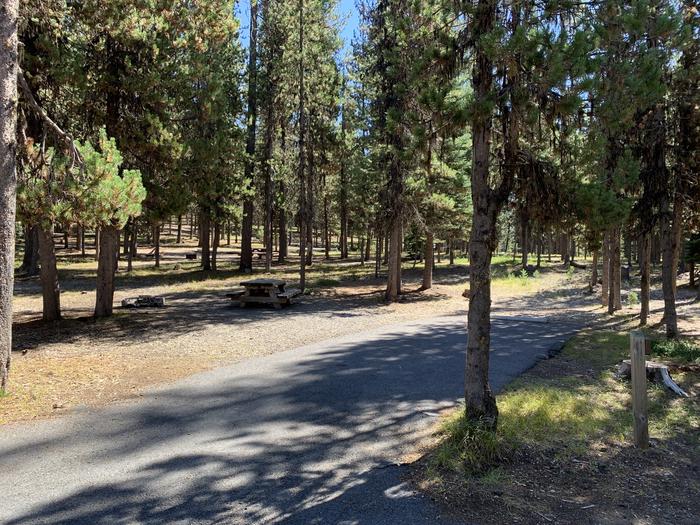 A photo of Site A01 of Loop Loop A at BROKEN ARROW CAMPGROUND with Picnic Table, Fire Pit, Shade, Tent Pad