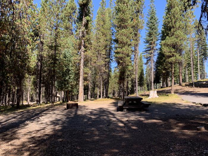 A photo of Site A05 of Loop Loop A at BROKEN ARROW CAMPGROUND with Picnic Table, Fire Pit, Shade, Tent Pad