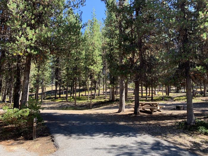 A photo of Site A03 of Loop Loop A at BROKEN ARROW CAMPGROUND with Picnic Table, Fire Pit, Shade, Tent Pad