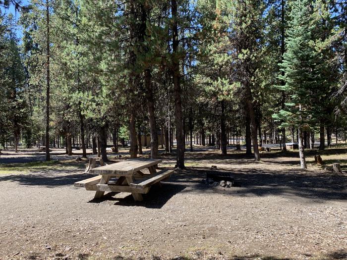 A photo of Site A09 of Loop Loop A at BROKEN ARROW CAMPGROUND with Picnic Table, Fire Pit, Shade, Tent Pad