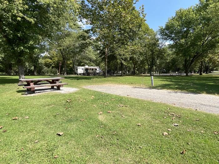 A photo of Site 050 of Loop LAKE at DEFEATED CREEK PARK with Picnic Table, Electricity Hookup, Fire Pit, Lantern Pole, Water Hookup