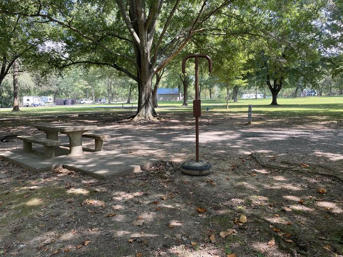 A photo of Site 060 of Loop LAKE at DEFEATED CREEK PARK with Picnic Table, Electricity Hookup, Fire Pit, Shade, Lantern Pole, Water Hookup