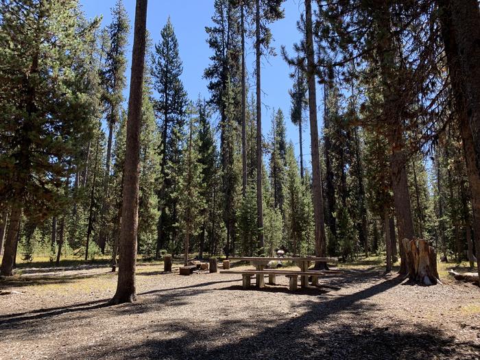 A photo of Site B01 of Loop Loop B at BROKEN ARROW CAMPGROUND with Picnic Table, Fire Pit, Shade, Tent Pad
