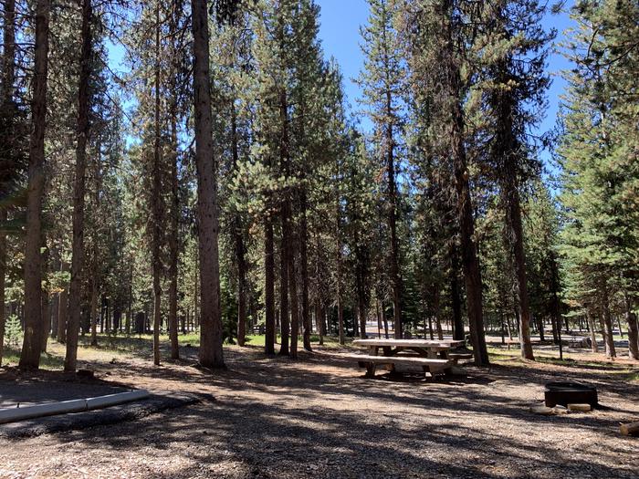 A photo of Site A07 of Loop Loop A at BROKEN ARROW CAMPGROUND with Picnic Table, Fire Pit, Shade, Tent Pad
