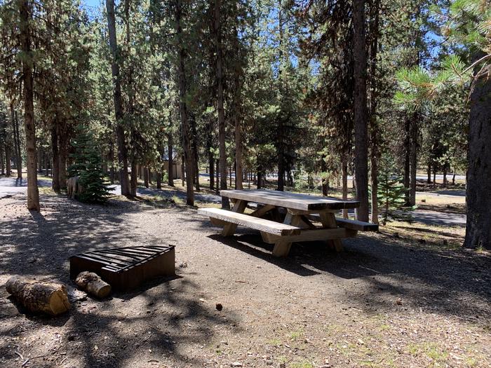 A photo of Site A08 of Loop Loop A at BROKEN ARROW CAMPGROUND with Picnic Table, Fire Pit, Shade, Tent Pad