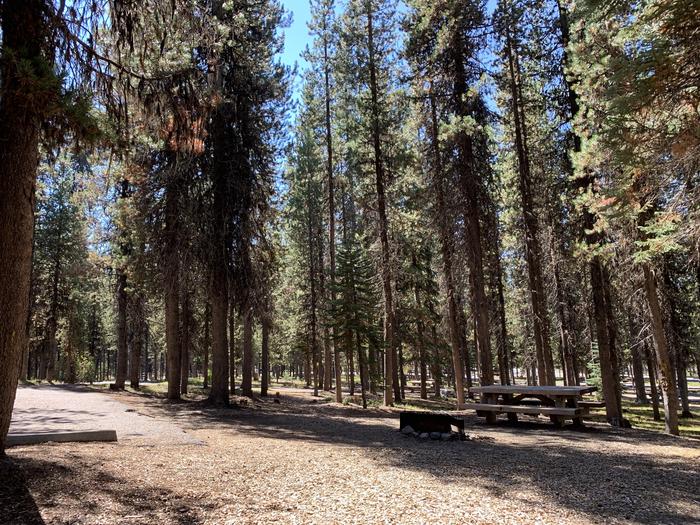 A photo of Site A06 of Loop Loop A at BROKEN ARROW CAMPGROUND with Picnic Table, Fire Pit, Shade, Tent Pad