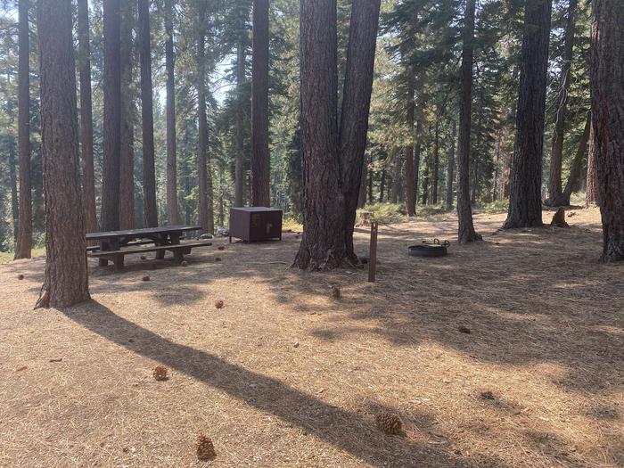 A photo of Site 008 of Loop AREA KASPIAN CAMPGROUND at KASPIAN CAMPGROUND with Picnic Table, Fire Pit, Food Storage