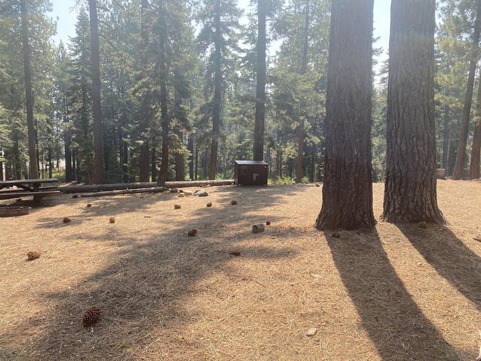A photo of Site 007 of Loop AREA KASPIAN CAMPGROUND at KASPIAN CAMPGROUND with Picnic Table, Fire Pit, Food Storage
