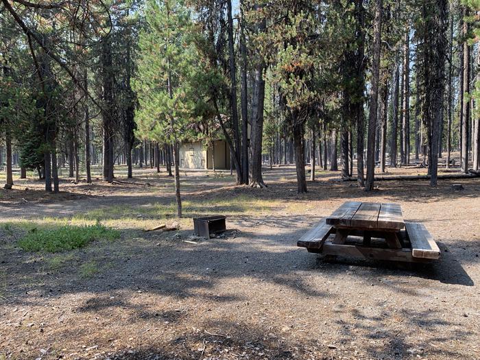 A photo of Site C09 of Loop Loop C at BROKEN ARROW CAMPGROUND with Picnic Table, Fire Pit, Shade, Tent Pad